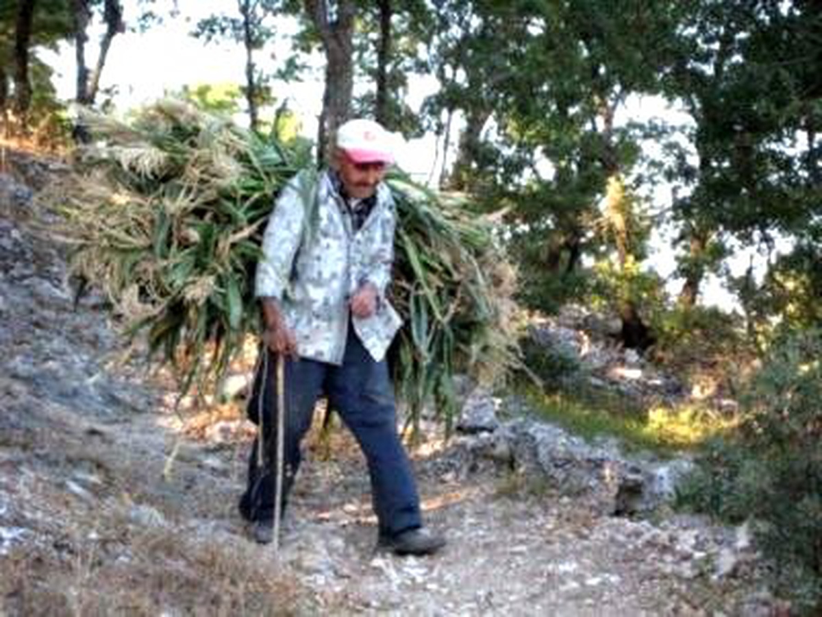 85 Yaşında Organlarıyla 2 Kişiye Umut Oldu