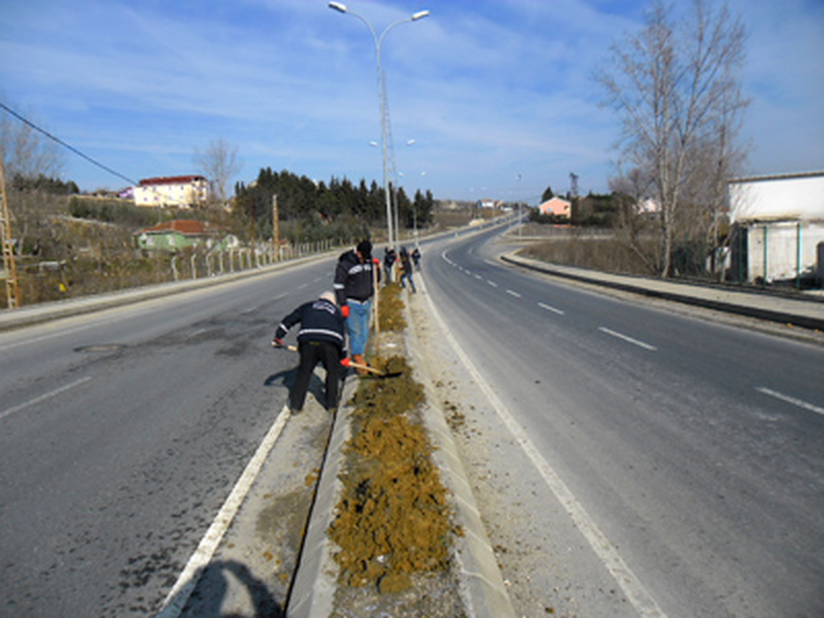 Bulvar Ağaçlandırılıyor