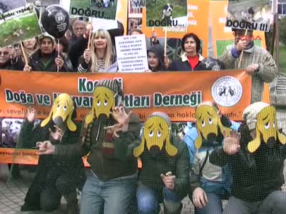 Hayvanseverlerden Maskeli Protesto