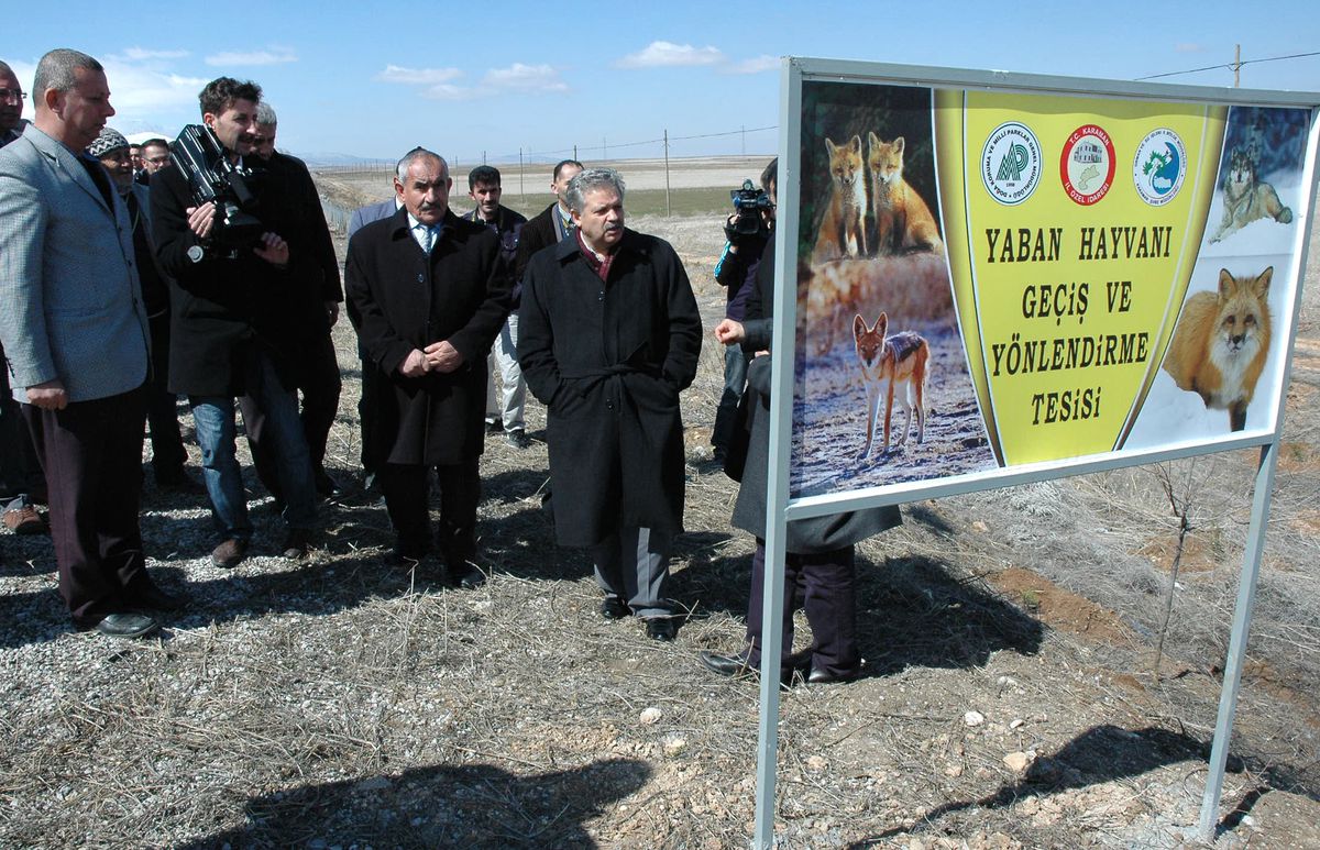 Karaman\'da Yaban Hayvanları İçin Alt Geçit