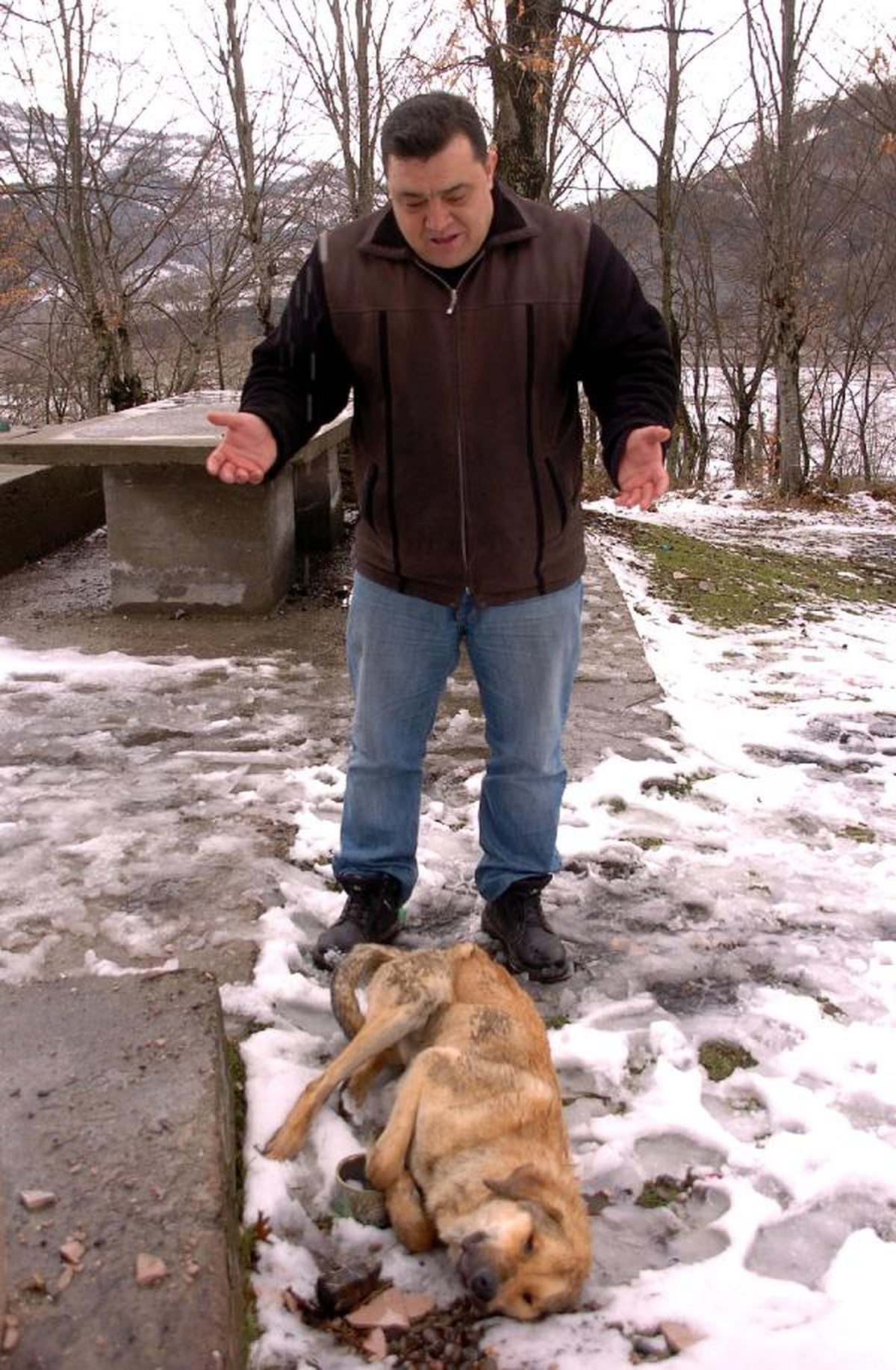 Toplu Halde Ölü Bulunan 7 Köpekte Zehirlenme Şüphesi
