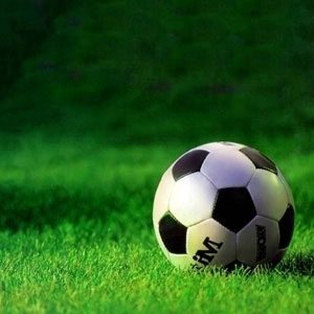 Turgutluspor - Bugsaşspor: 3-0
