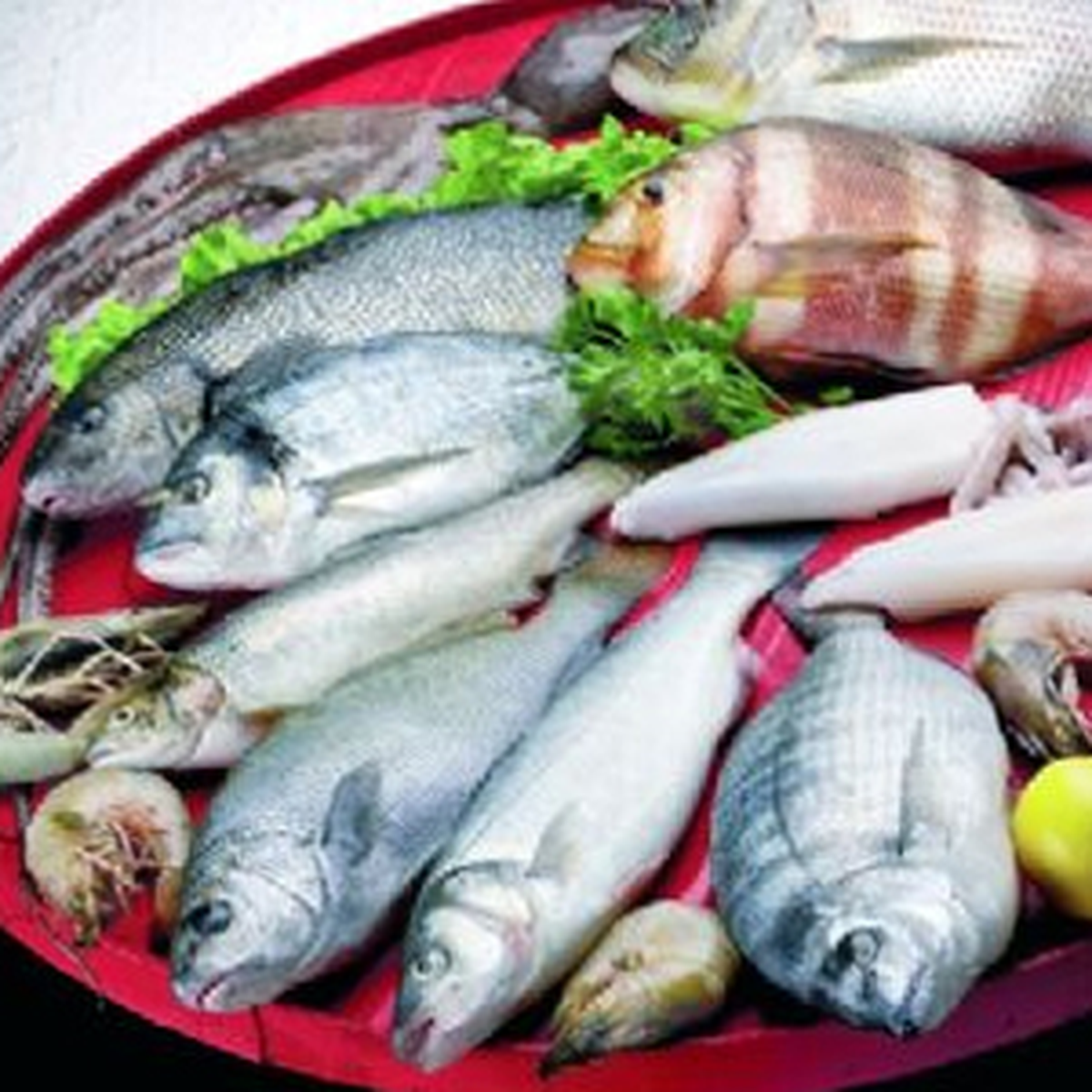 Türk Balıkları ABD\'ye, Dolarlar Türkiye\'ye