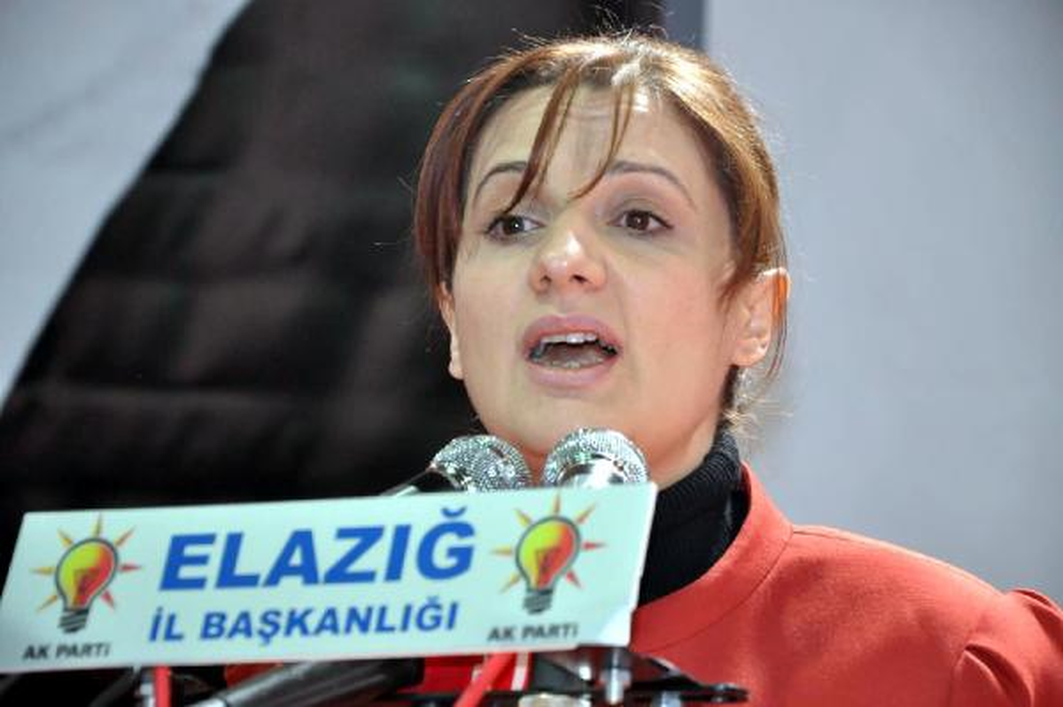 Bakan Yazıcı: Sivas Olayları Davasında Kamuoyu Yanıltılmaya Çalışıldı (2)