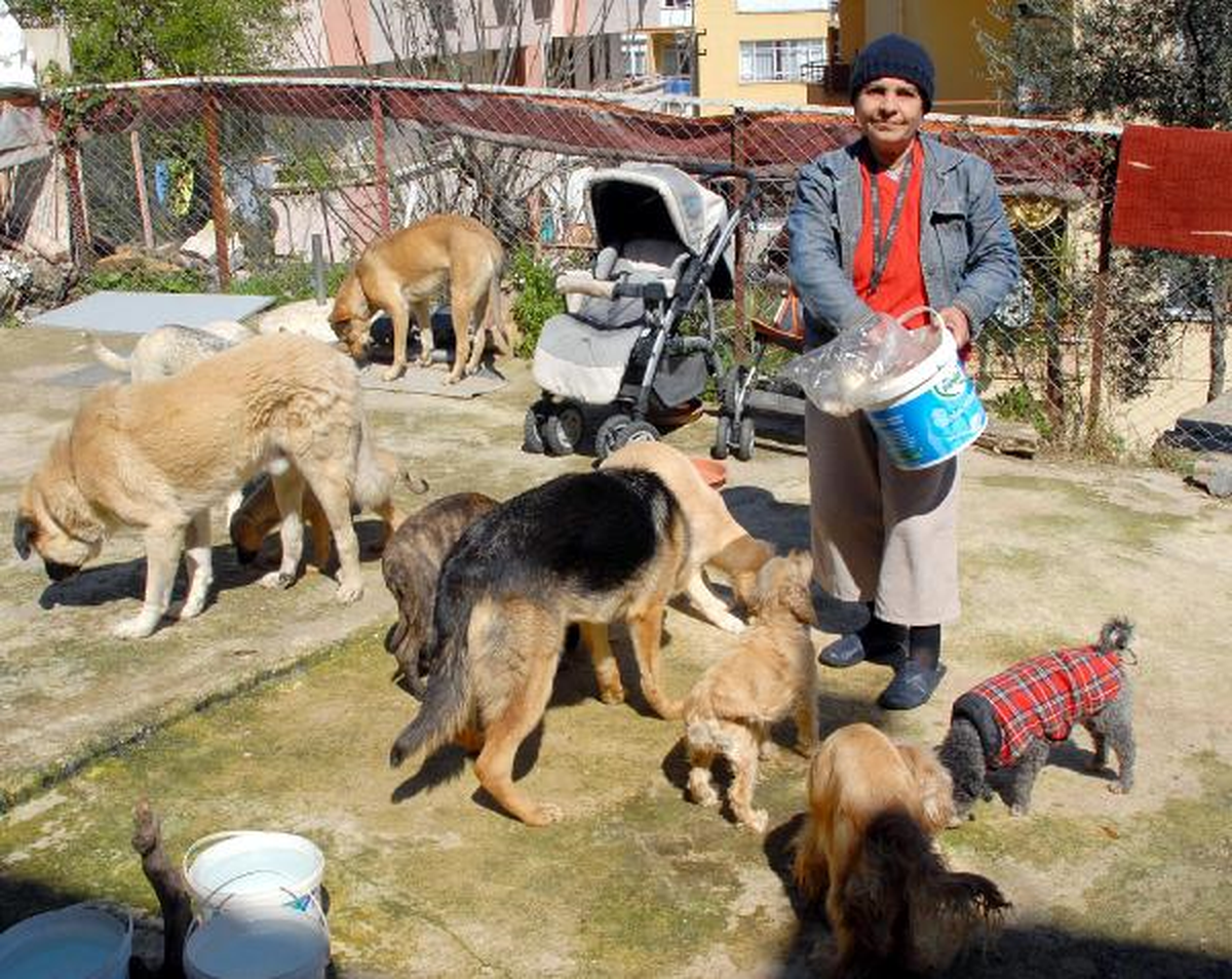 Hayatını Sokak Hayvanlarına Adadı