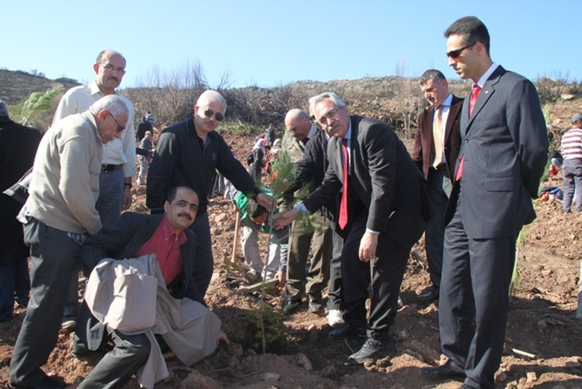 Fidan Dikmek İçin Birbirleri ile Yarıştılar