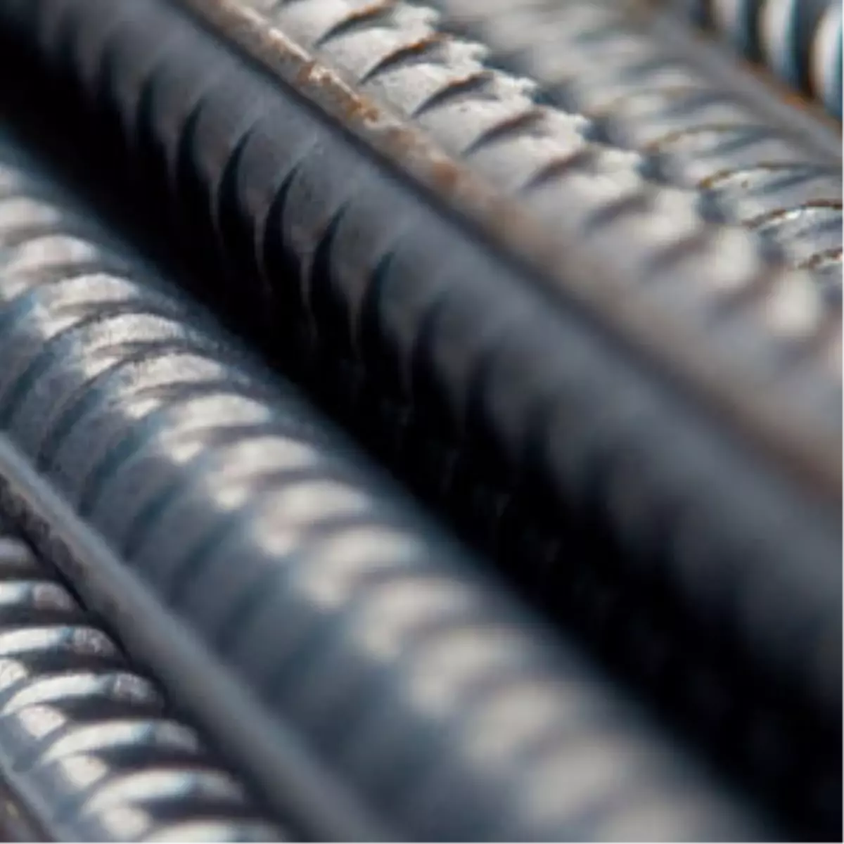 Hem Ekonomiye Hem Doğaya Katkı