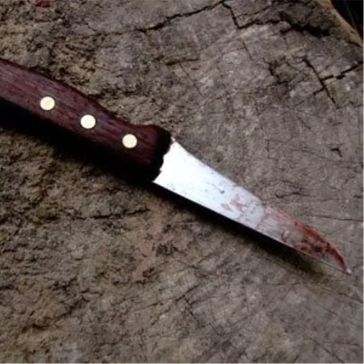 Kadın Kadını Bıçakladı