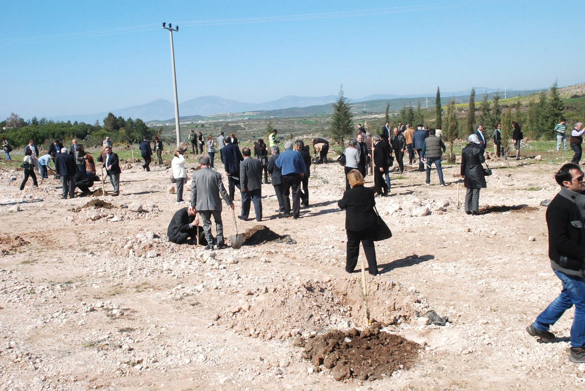 Kent Konseyleri Temsilcilerinin Dikili Ağacı Oldu