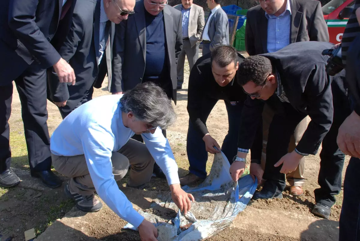 Biga Erguvan ile Anılacak