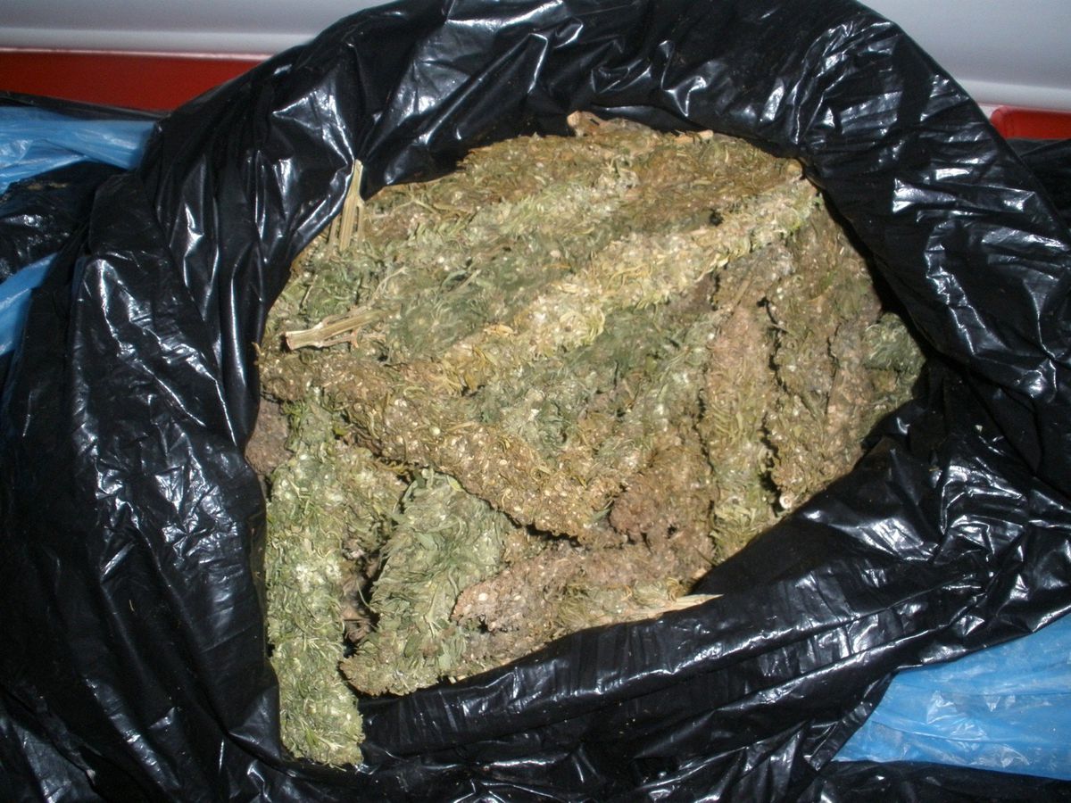 Polis 48 Kilo Esrar Ele Geçirdi