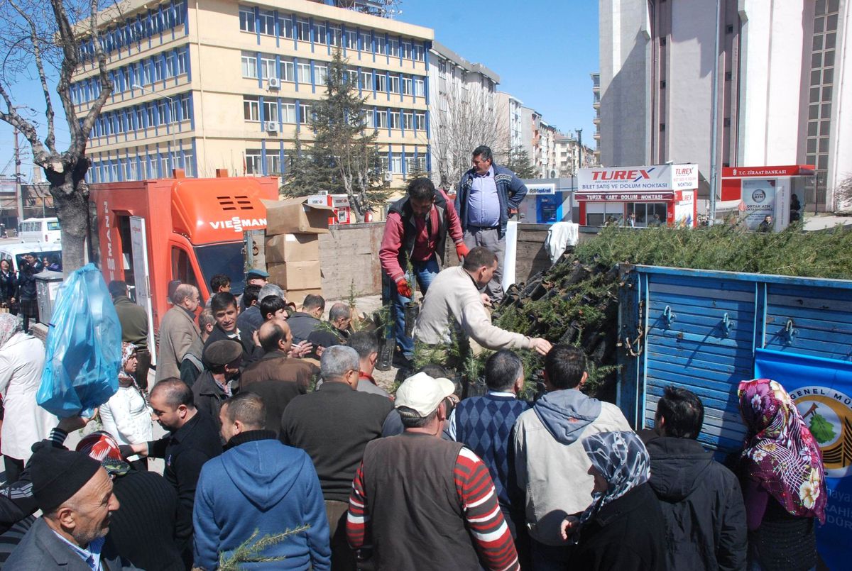 Afyonkarahisar\'da 5 Bin Fidan Dağıtıldı