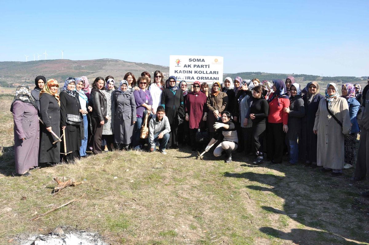 AK Parti'li Kadınlar Ağaç Dikti