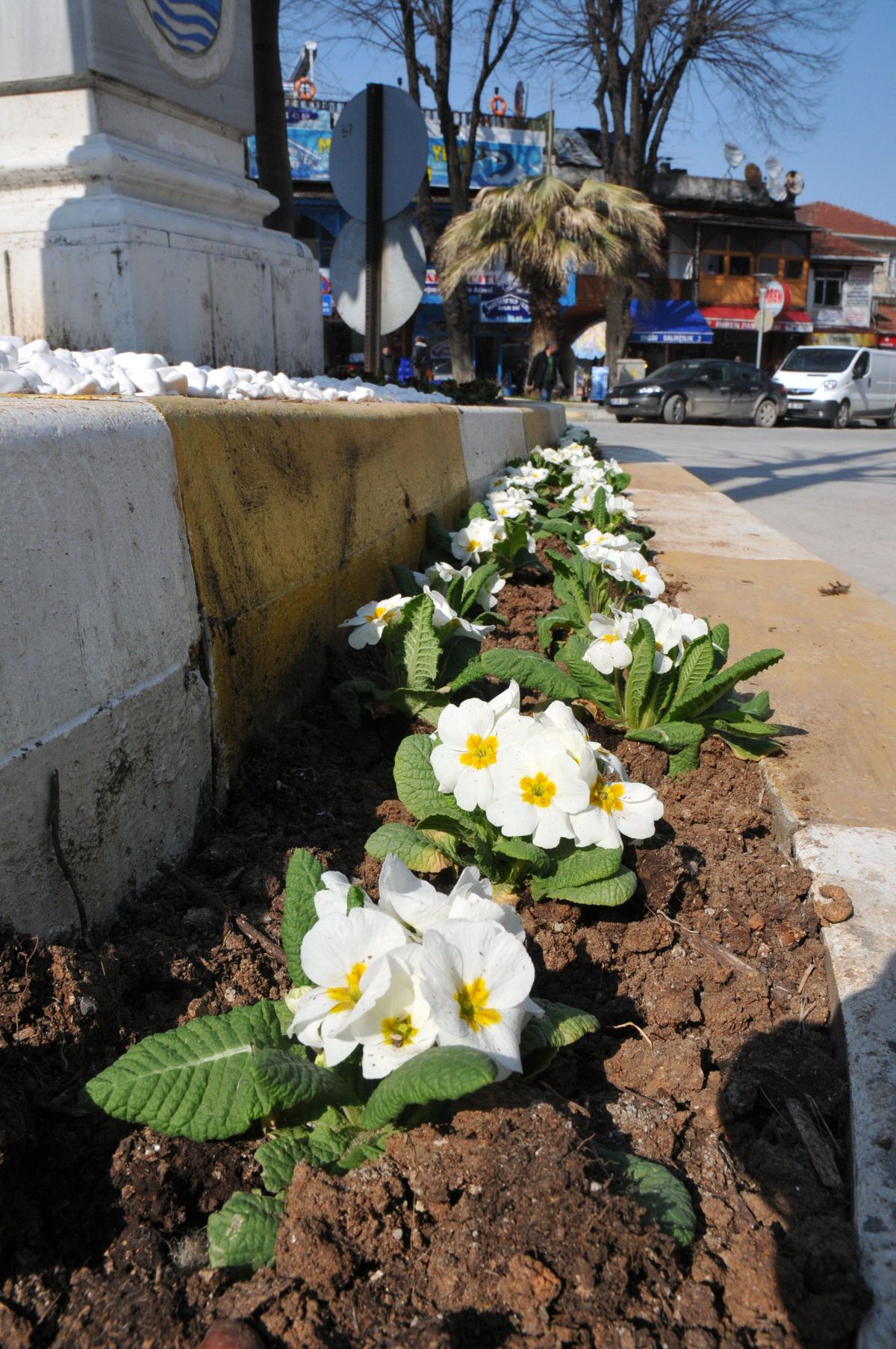 Akçakoca\'da Park ve Bahçeler Çiçeklendiriliyor
