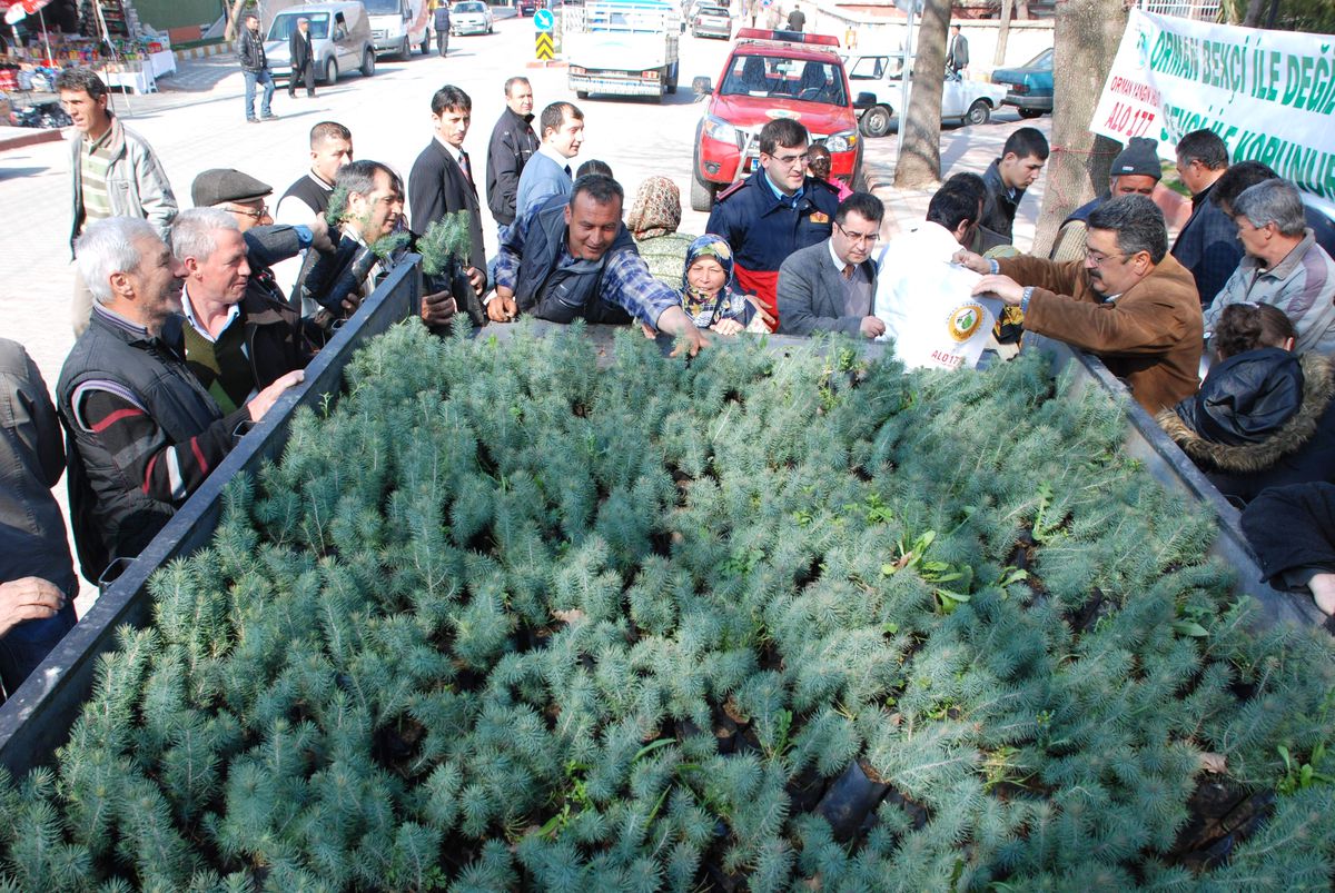 Bayramiç Orman İşletme Müdürlüğü Vatandaşlara Ücretsiz Fidan Dağıttı