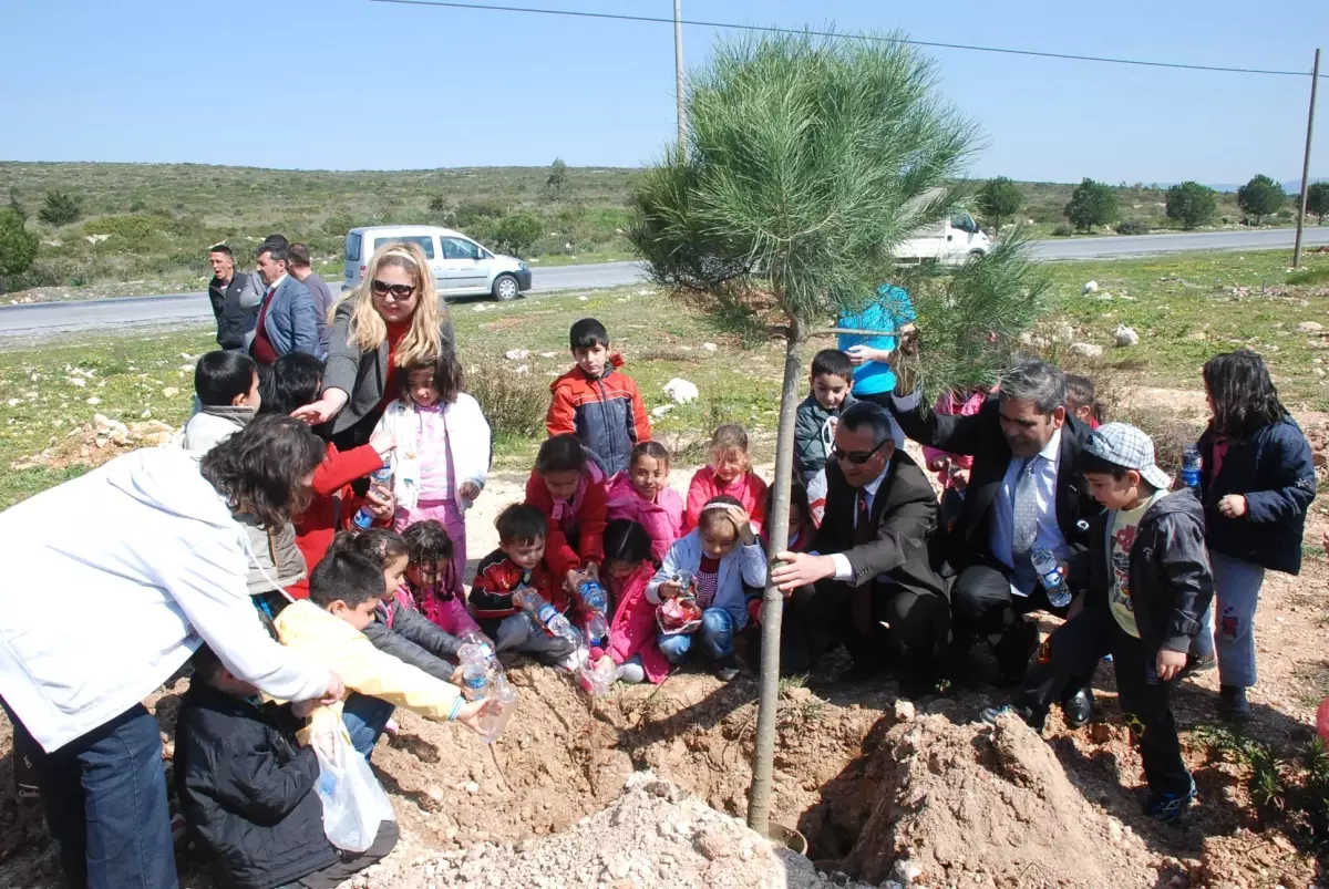 Belediye ve Anaokulu Öğrencileri Fidan Dikimi Gerçekleştirdi.