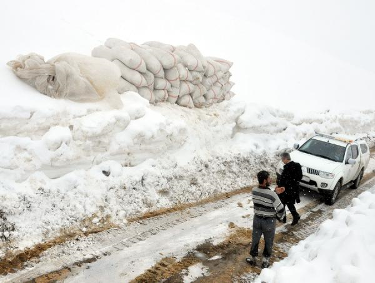 Bitlis'te Yem Çilesi