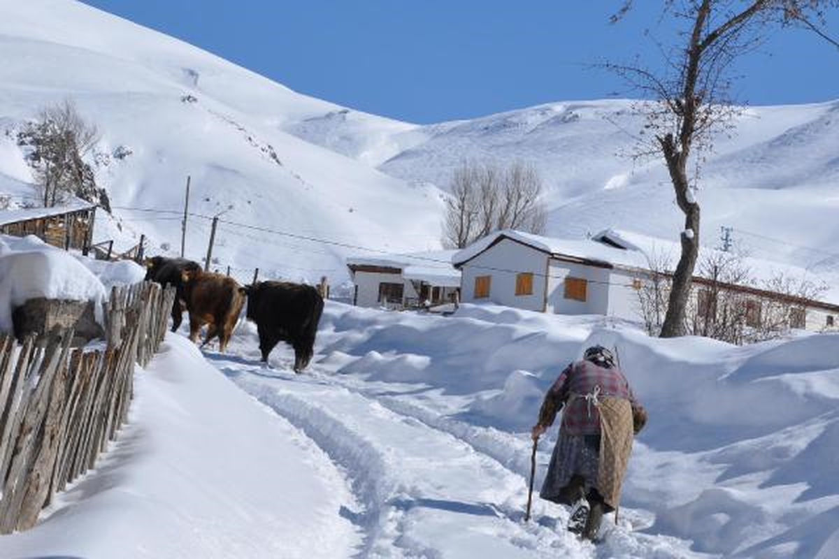 Çatıdan Düşen Kar Can Aldı