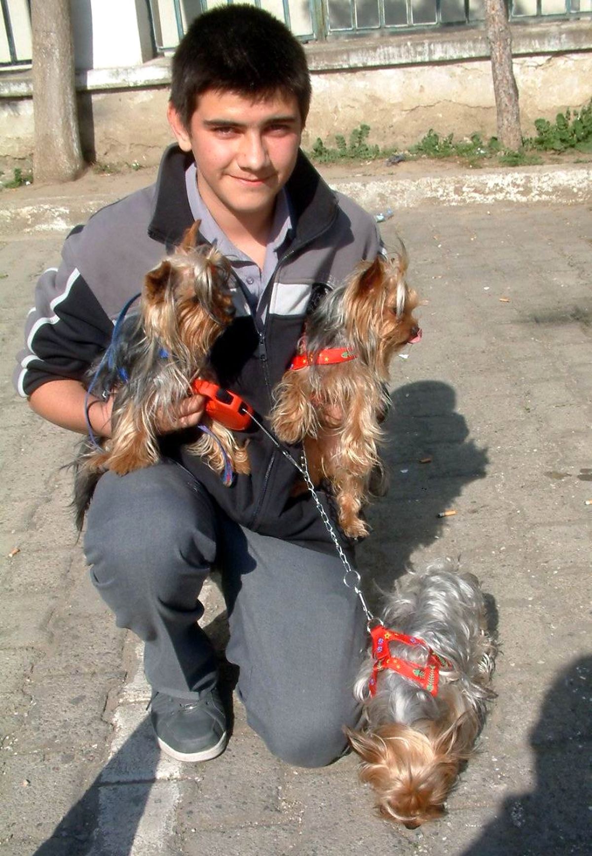 Değerli Köpeklere Büyük İlgi