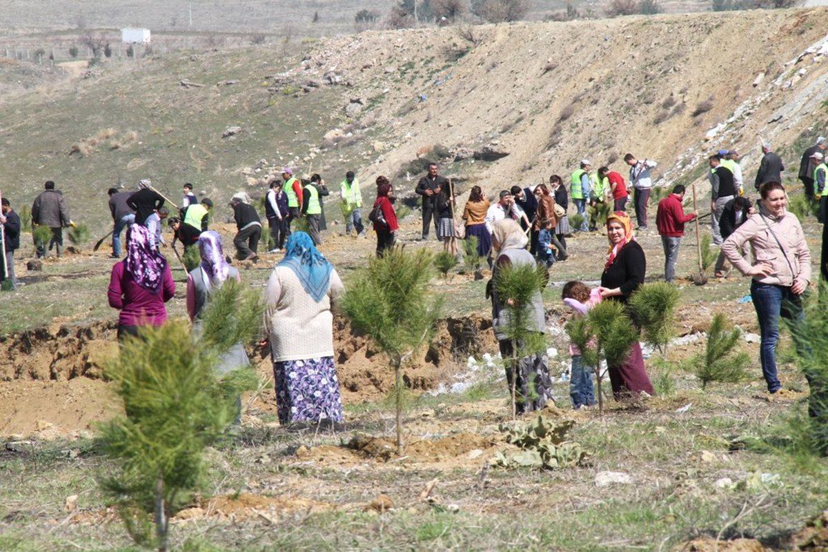Denizli Belediyesi 5 Bin Fidanı Toprakla Buluşturdu