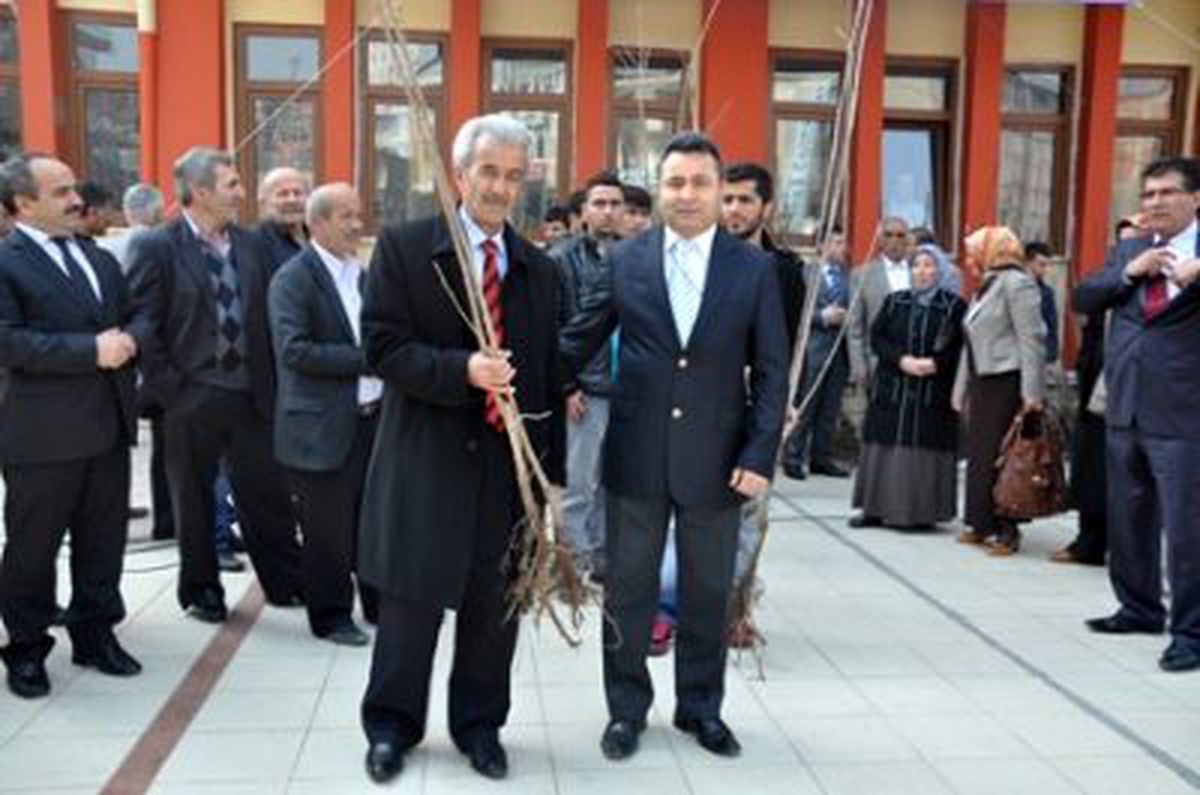 Dilovası Kiraza Doyacak