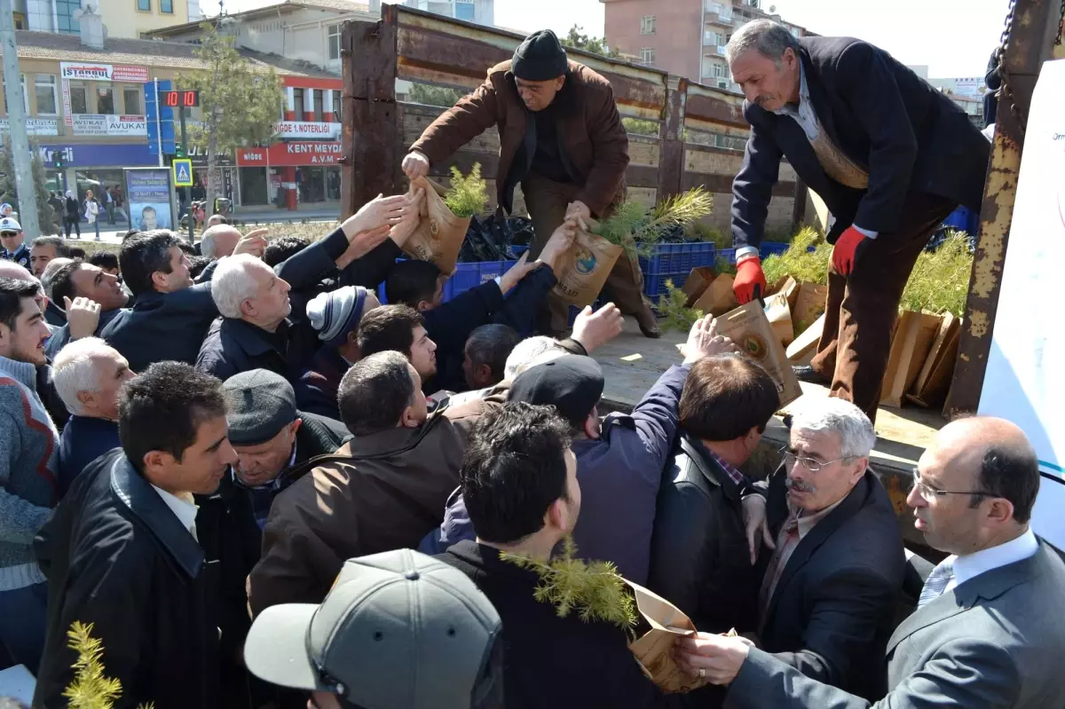 Her Çocuk Bir Fidandır