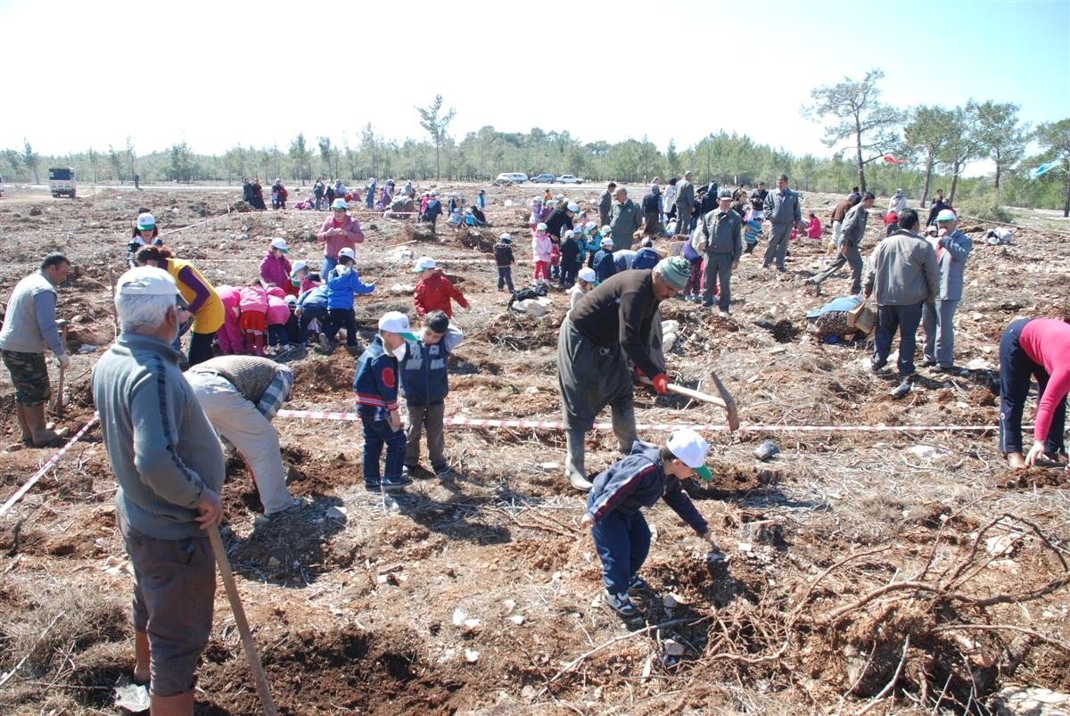 Minik Eller Yeşil Bir Dünya İçin Fidan Dikti