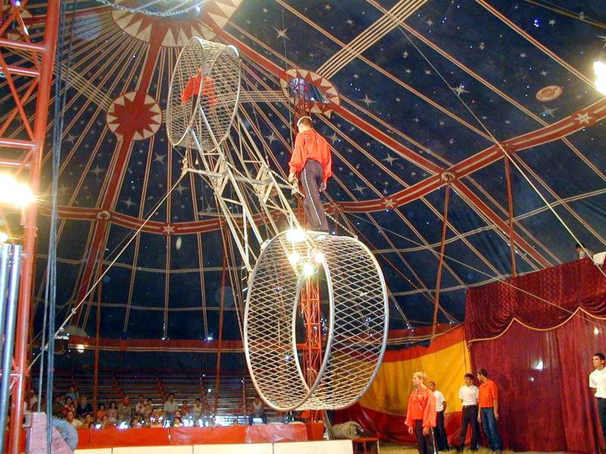 Orion'da Sirk Heyecanı