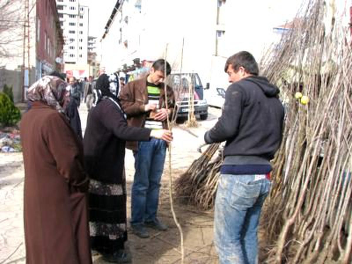 Sorgun\'da Fidan Satışları Başladı