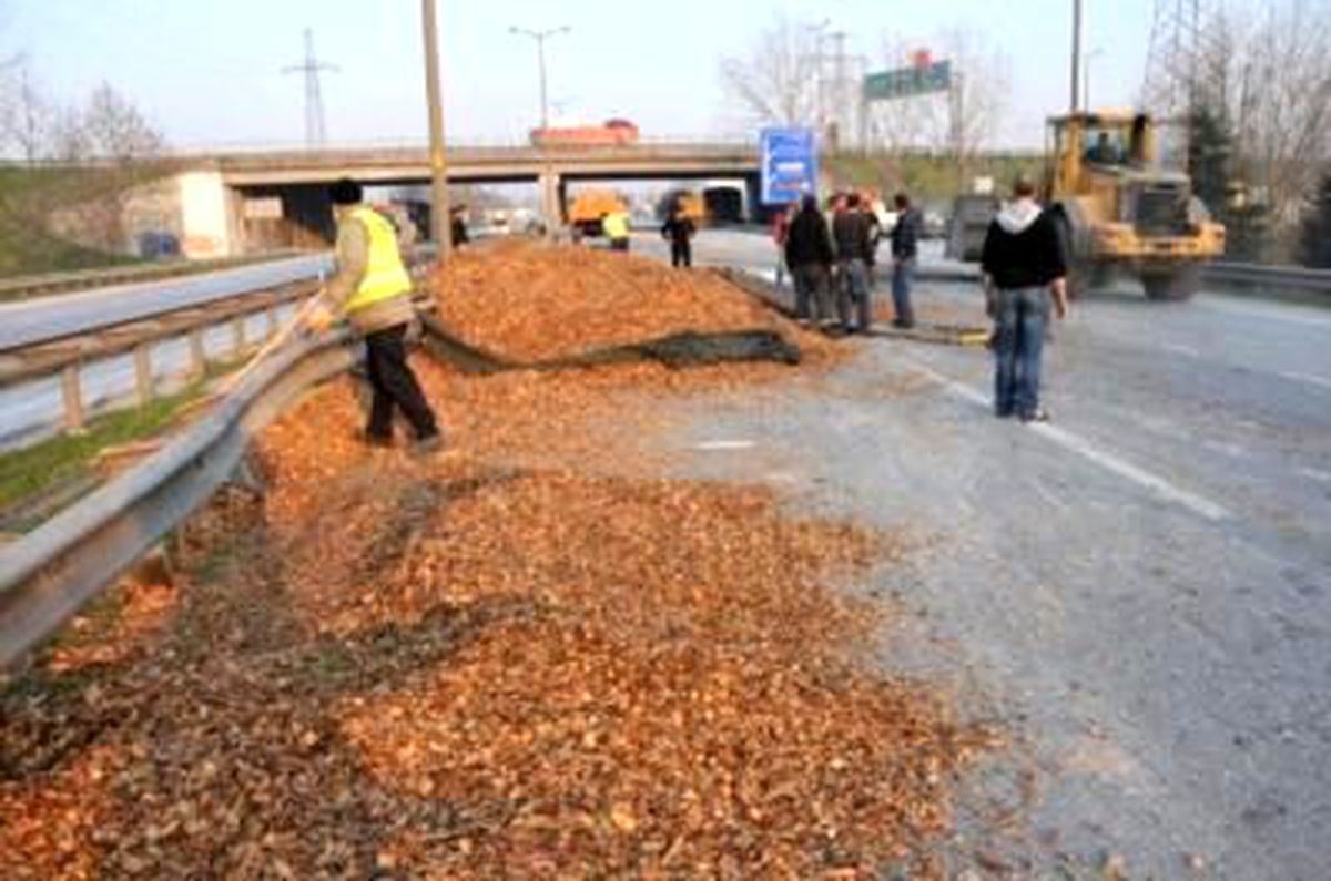 Tır Devrildi Talaşlar Karayoluna Saçıldı