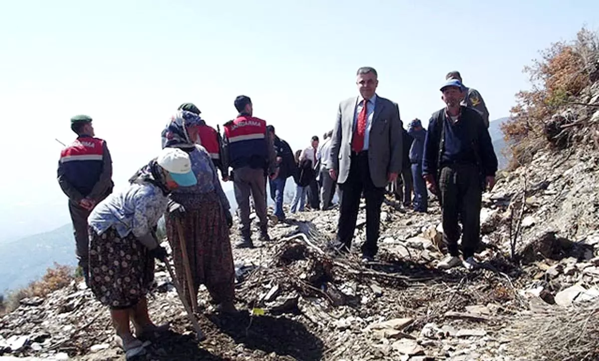 Yörük Ali Efe Anısına Fidan Dikimi