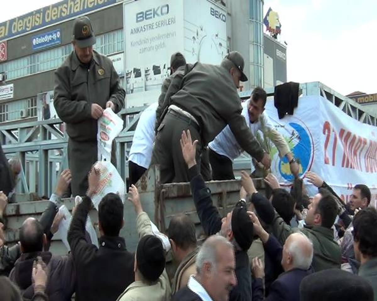 1100 Çam Fidanı 10 Dakikada Bitti