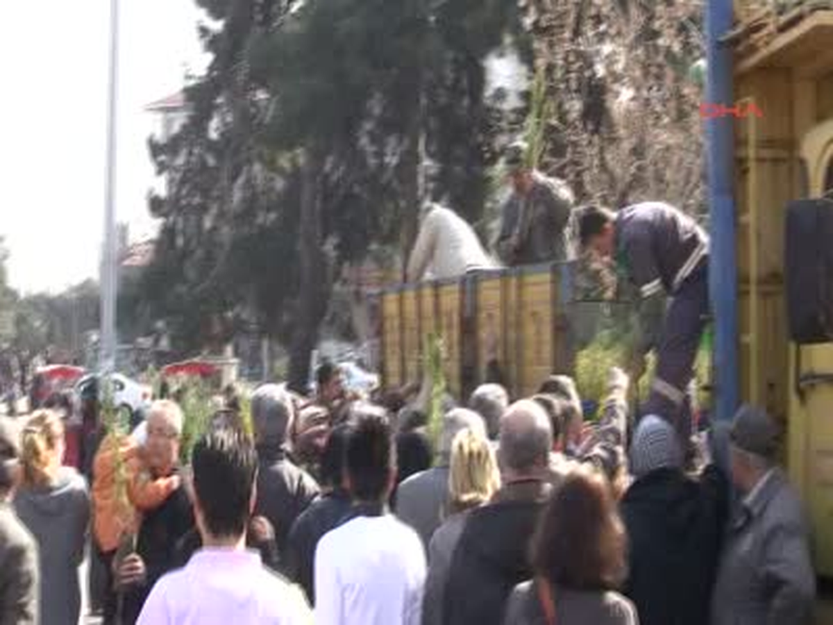 3 Bin Çam Fidanı Kısa Sürede Tükendi
