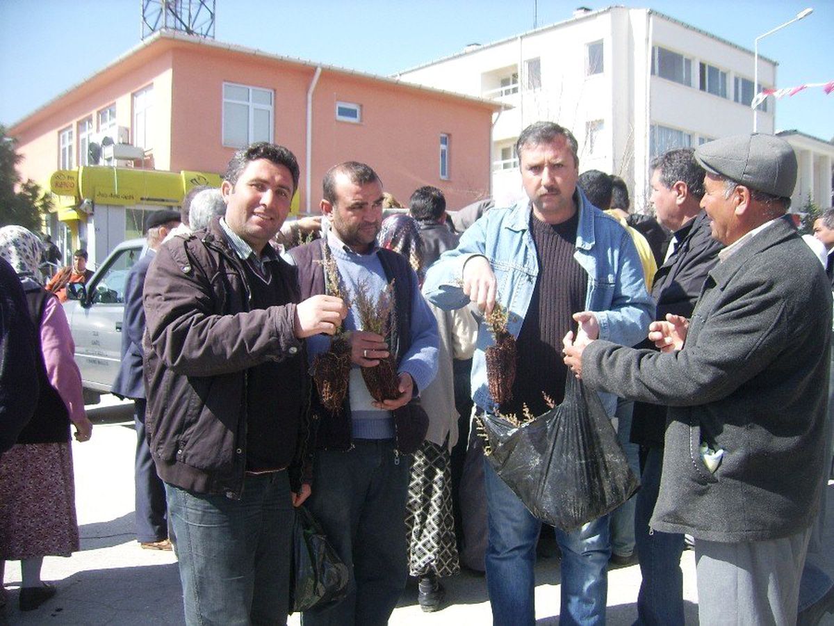 Eşme\'de Vatandaşlara Ücretsiz Olarak İki Bin 500 Fidan Dağıtıldı