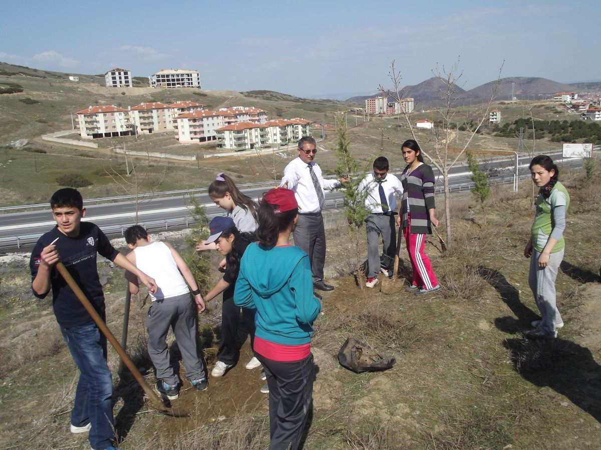 İlköğretim Öğrencileri Fidan Dikti
