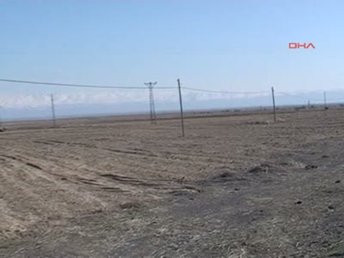 Konya Ereğli\'den Avrupa ve Uzakdoğu\'ya Siyah Havuç İhracatı