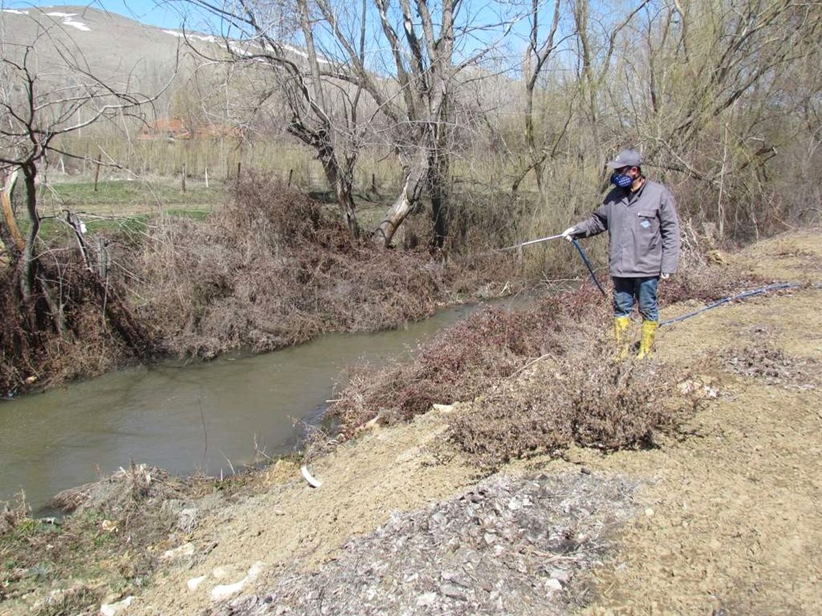 Larva İlaçlamaları Başladı