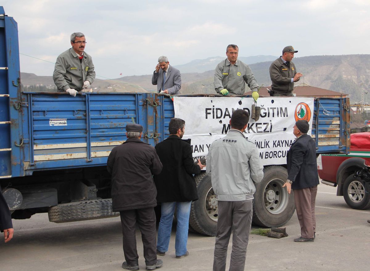 Orman İşletmesinden Ücretsiz Fidan Dağıtımı