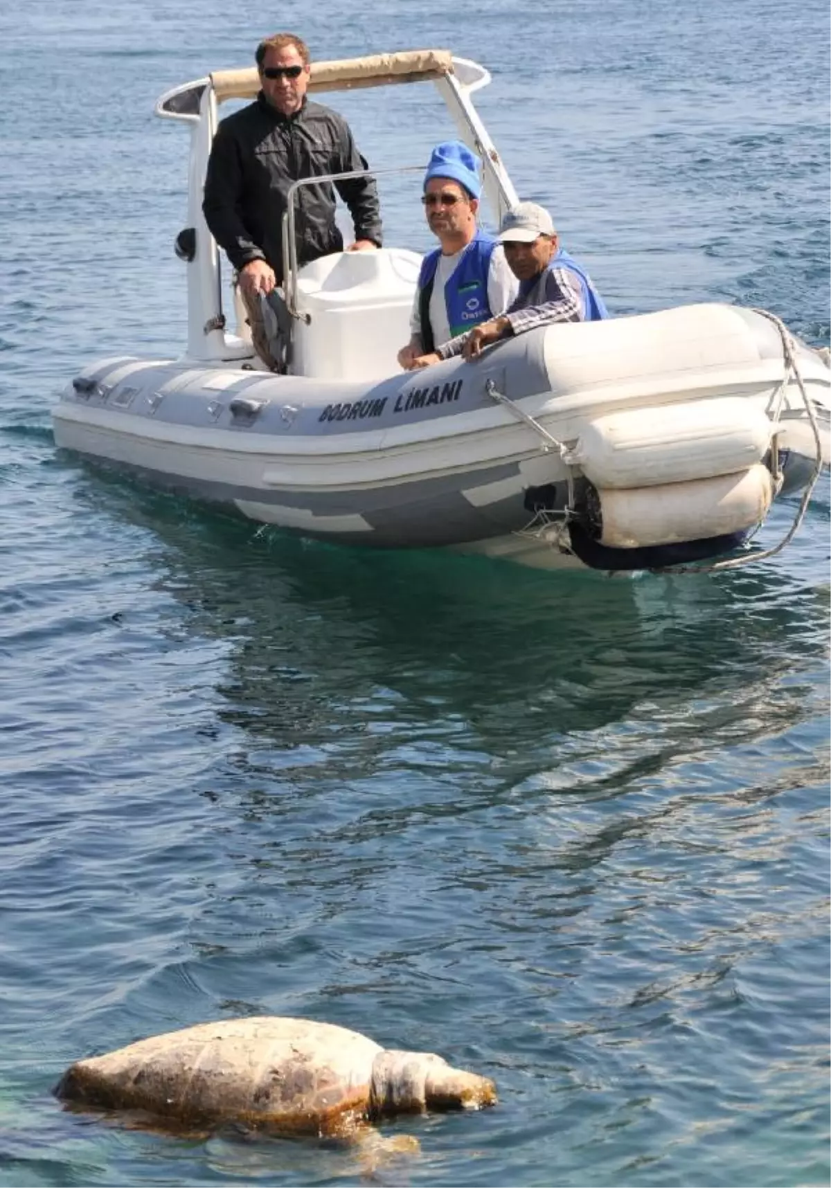 Otel Çalışanları Ölü Caretta Carettayı Şamandıra Zannetmiş