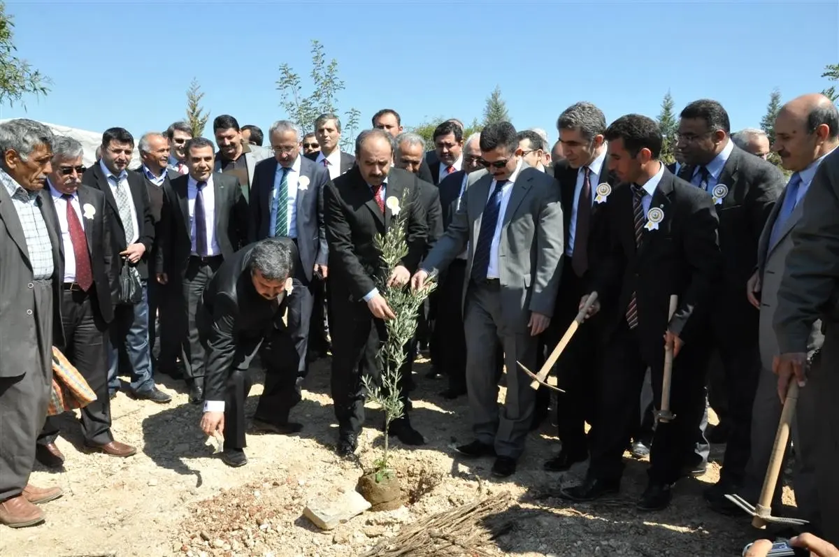 Tarsus'ta Bal Ormanı Projesi Hayata Geçti