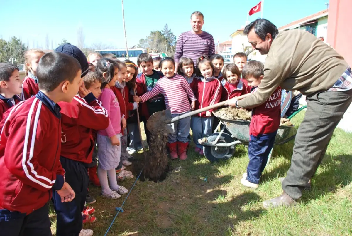 Anaokulu Öğrencileri Fidan Dikti
