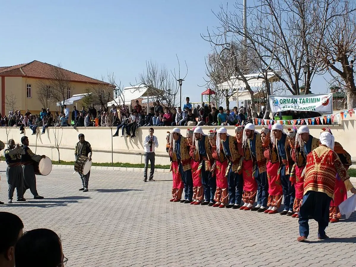 Dünya Ormancılık Günü ve Ağaç Bayramı