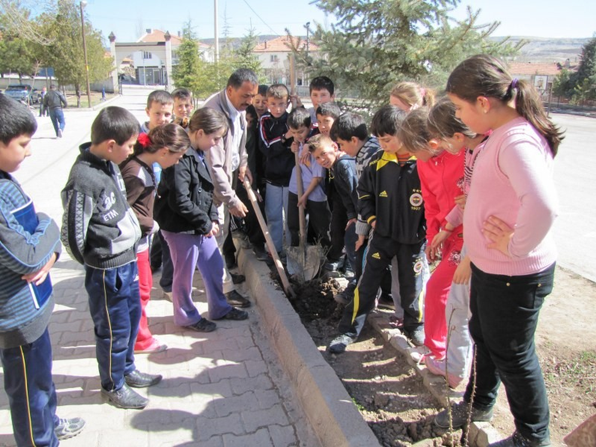 Hisarcık\'ta Okul Bahçesi Gül Bahçesi Oldu