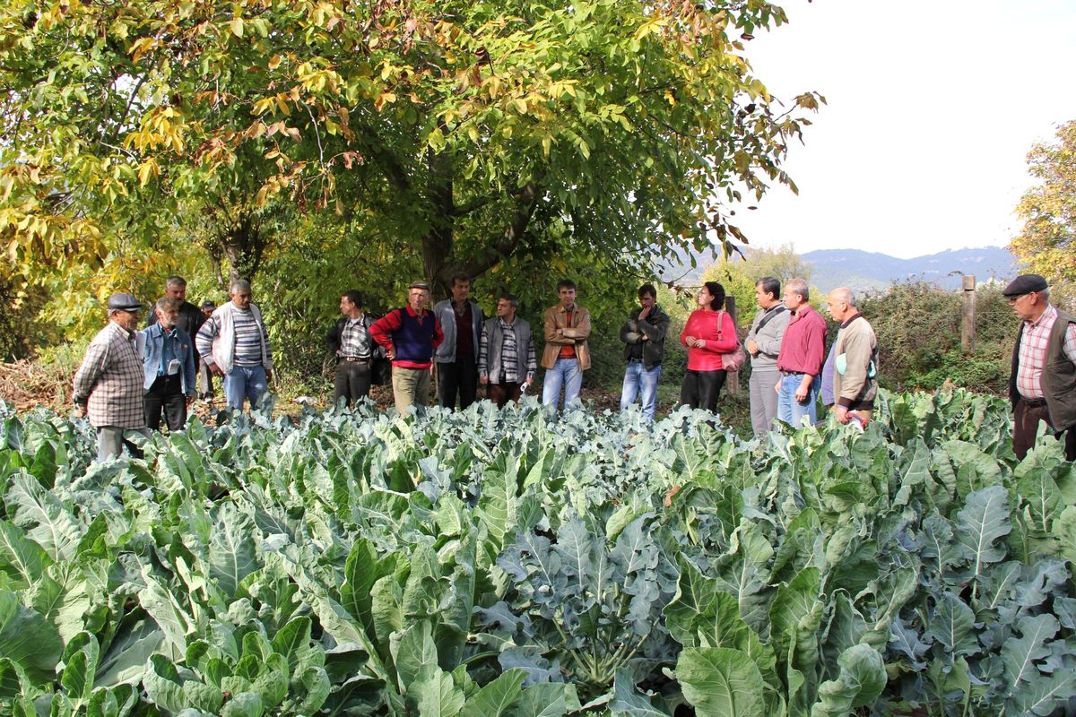 Muğla\'nın İki Köyü Organik Tarıma Geçiyor