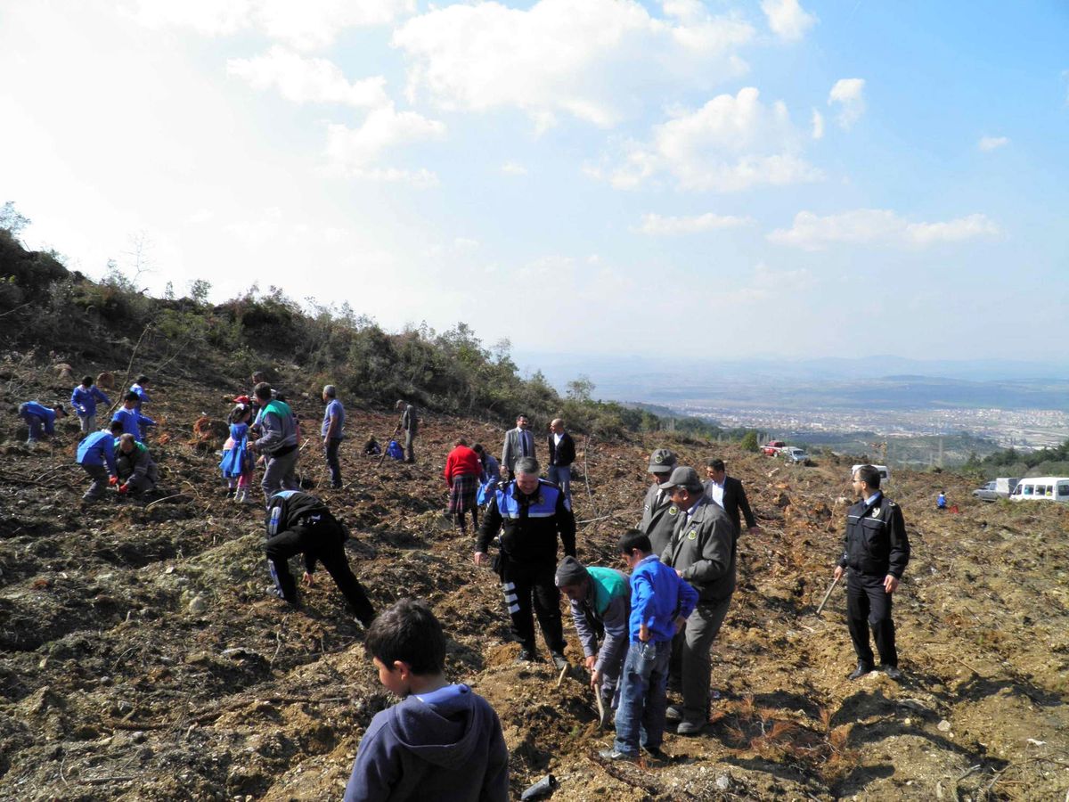 Polisler, Öğrencilerle Beraber Ağaç Dikti