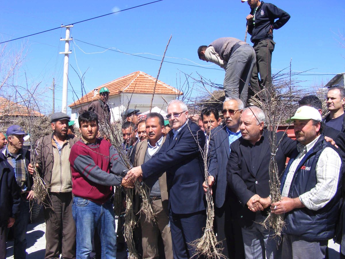 Söke\'nin Çavdar Köyünde Elmacılık Hamlesi