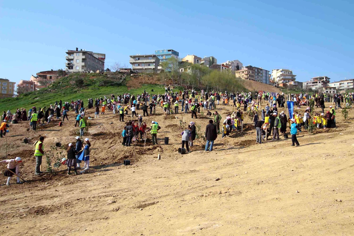 Tatlıkuyu Vadisi Gebze'nin Sekapark'ı Olacak