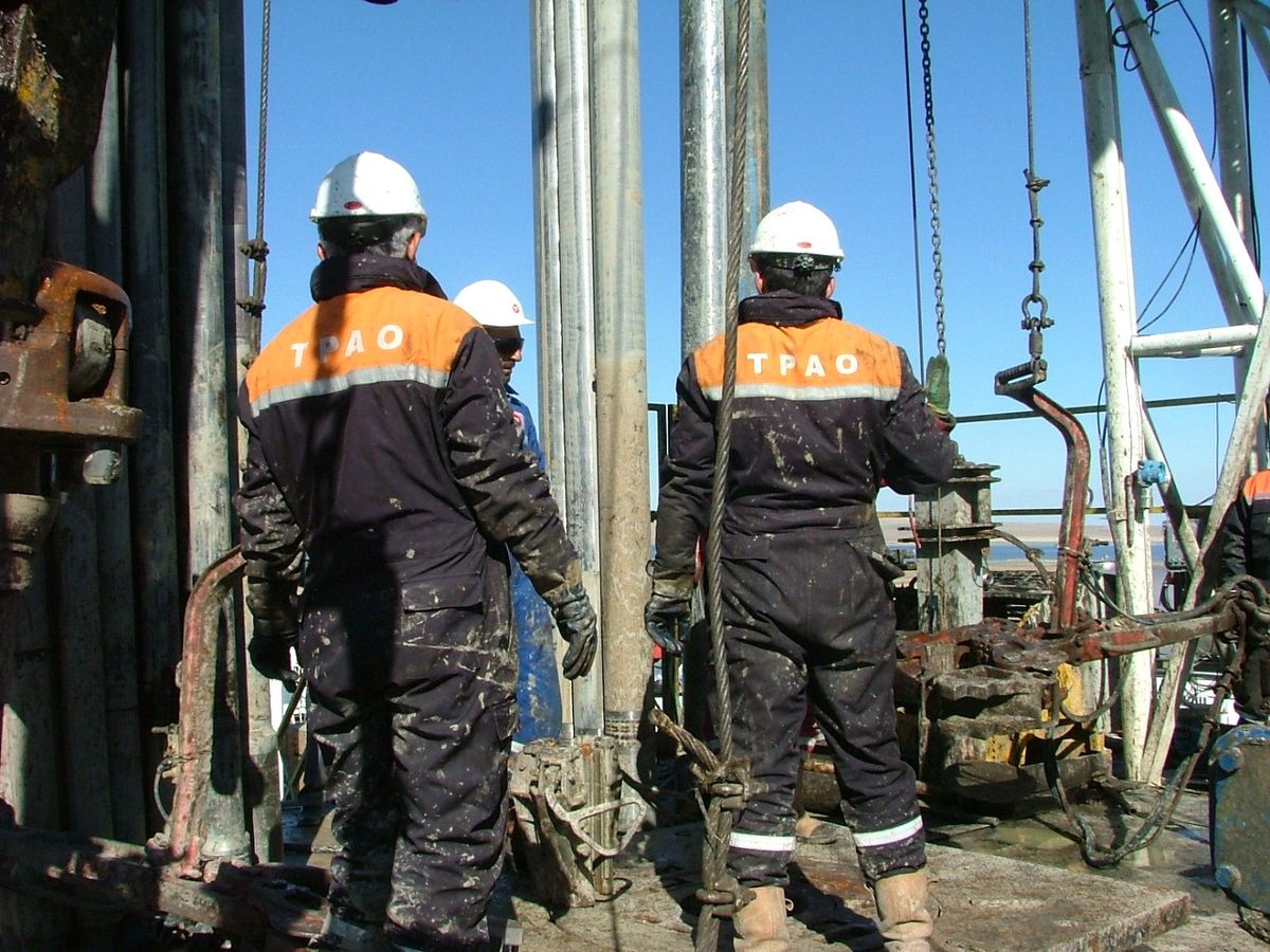 Tpao Genel Müdürü Kulu'da İncelemelerde Bulundu