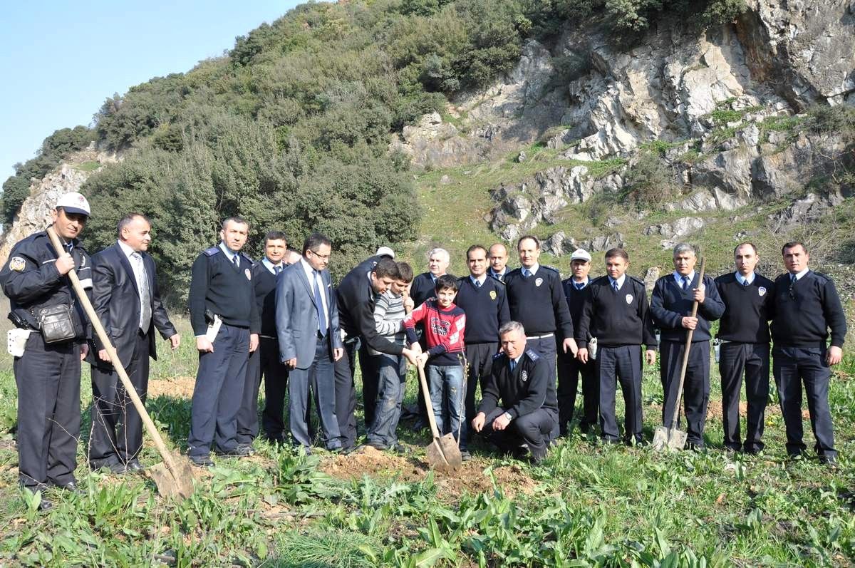 Trafik Polisleri Fidan Dikti