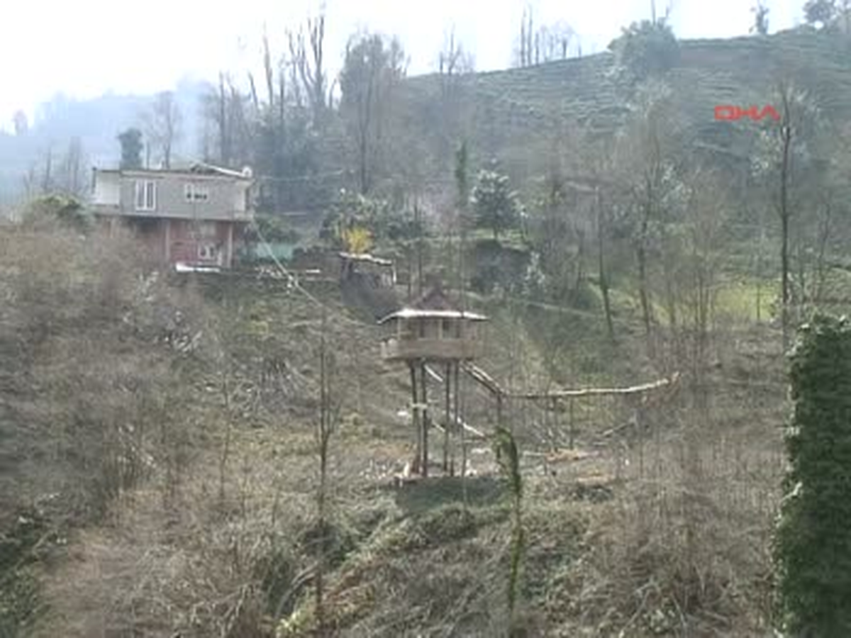 Yine Bir Rize Klasiği Ağaç Üzerinde Ahşap Ev